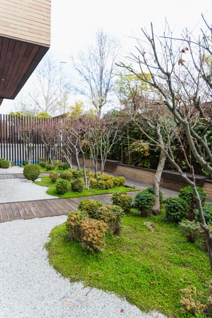 ZEN-FOTOS-VARIOS-206_optimizada-683x1024
